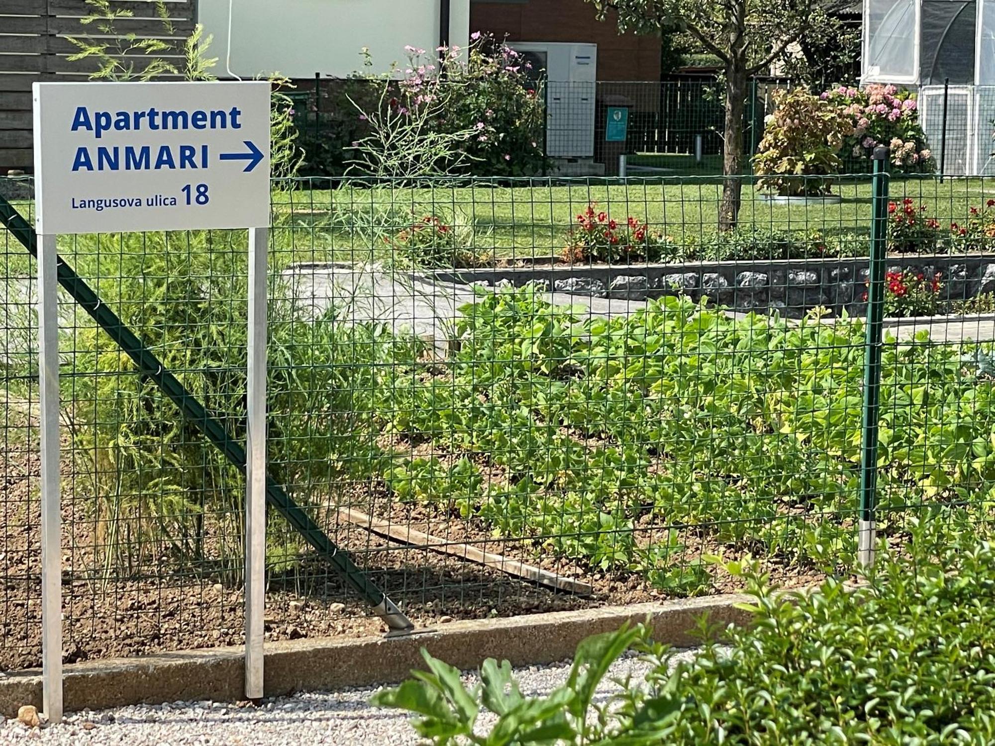 Apartment Anmari Radovljica Zewnętrze zdjęcie